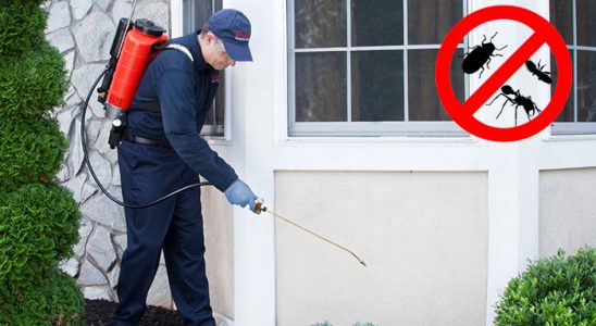 Atabey Kene İlaçlama böcek ilaçlama ve haşere kontrolü — ilaclama-tr.com